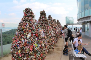 There are also love lock trees.